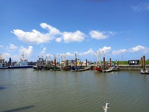 Der Fischereihafen in Norddeich