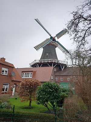 Blick auf die Westgaster Mühle